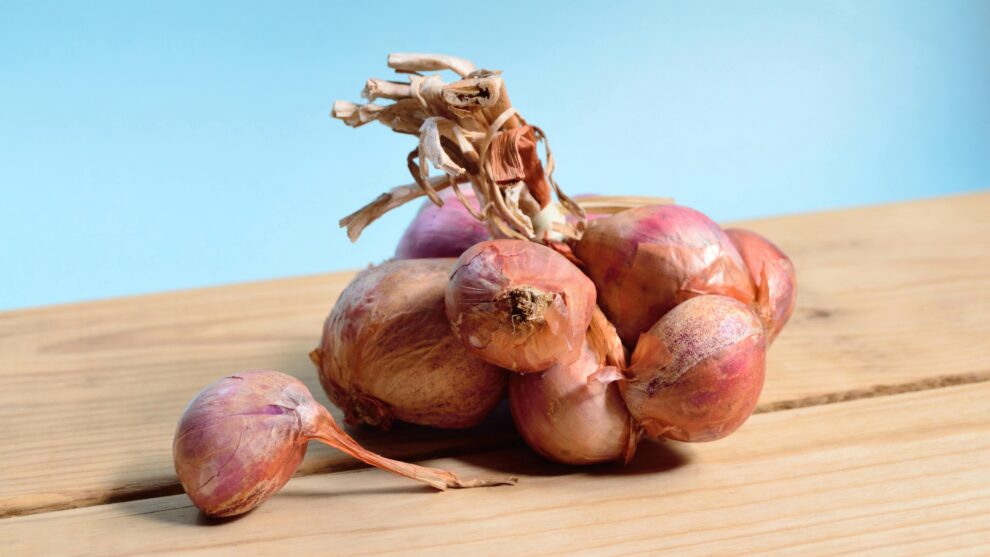Onions: A Double-Edged Sword – Understanding the Nutritional Value of Onions and Their Possible Side Effects