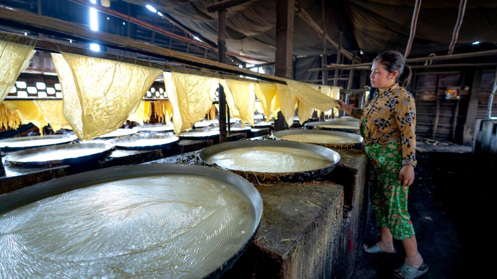 The Risks of Processed Foods